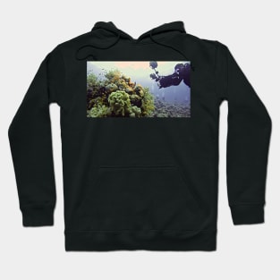 VIDEO DIARIES Hoodie